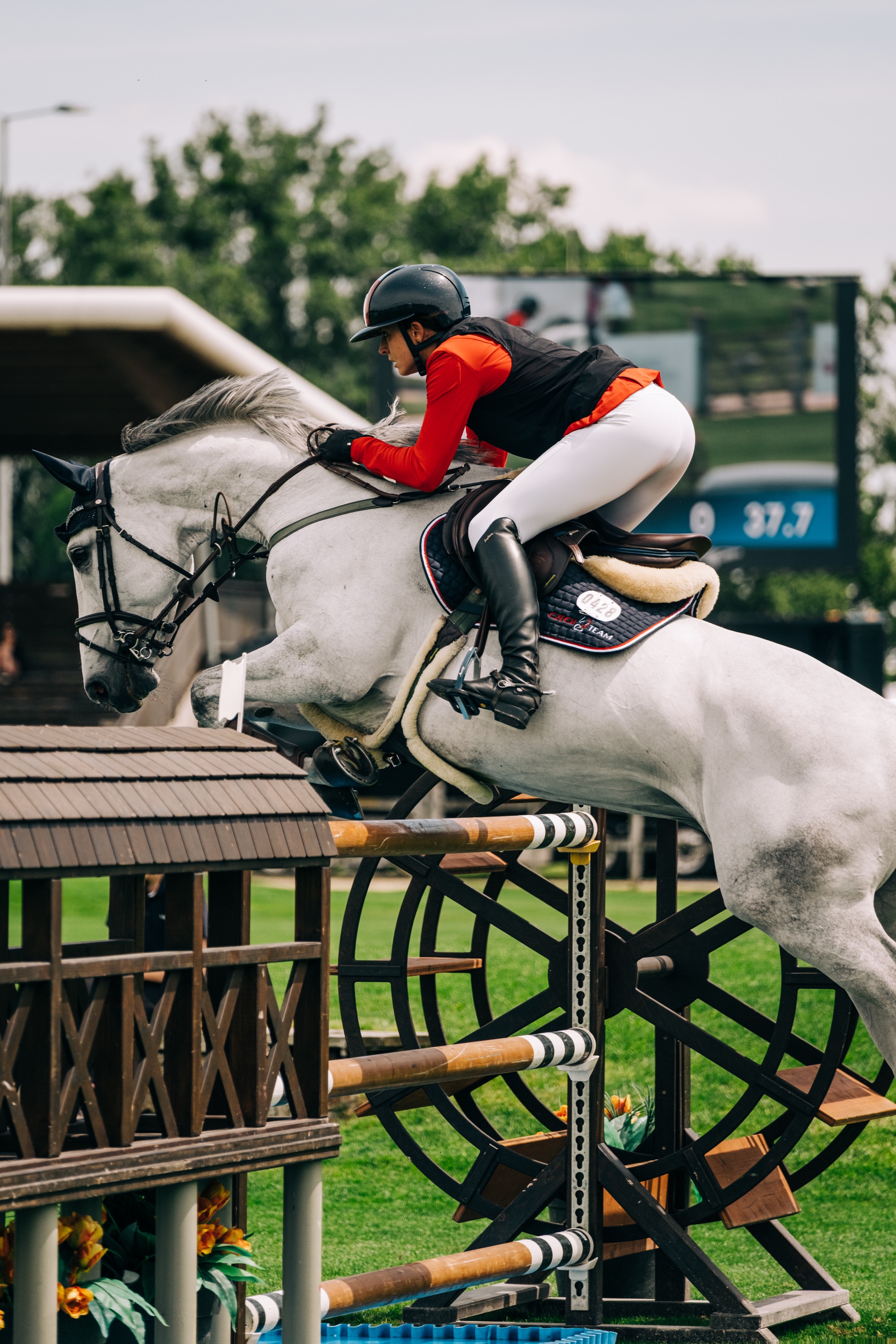 CSIO Slovakia – Danube Equestrian Festival foto 6