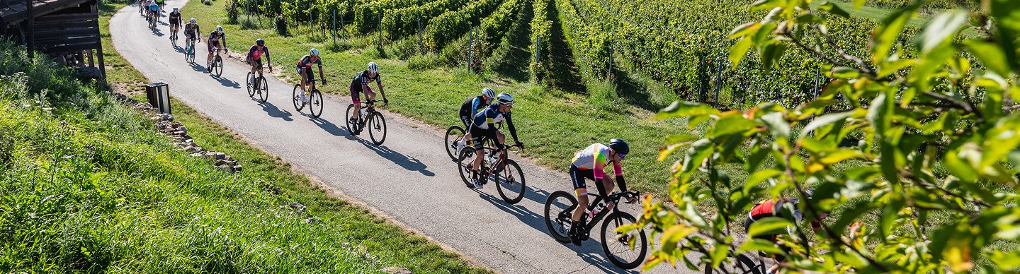L'Étape Slovakia — cyklisti vo vinohradoch